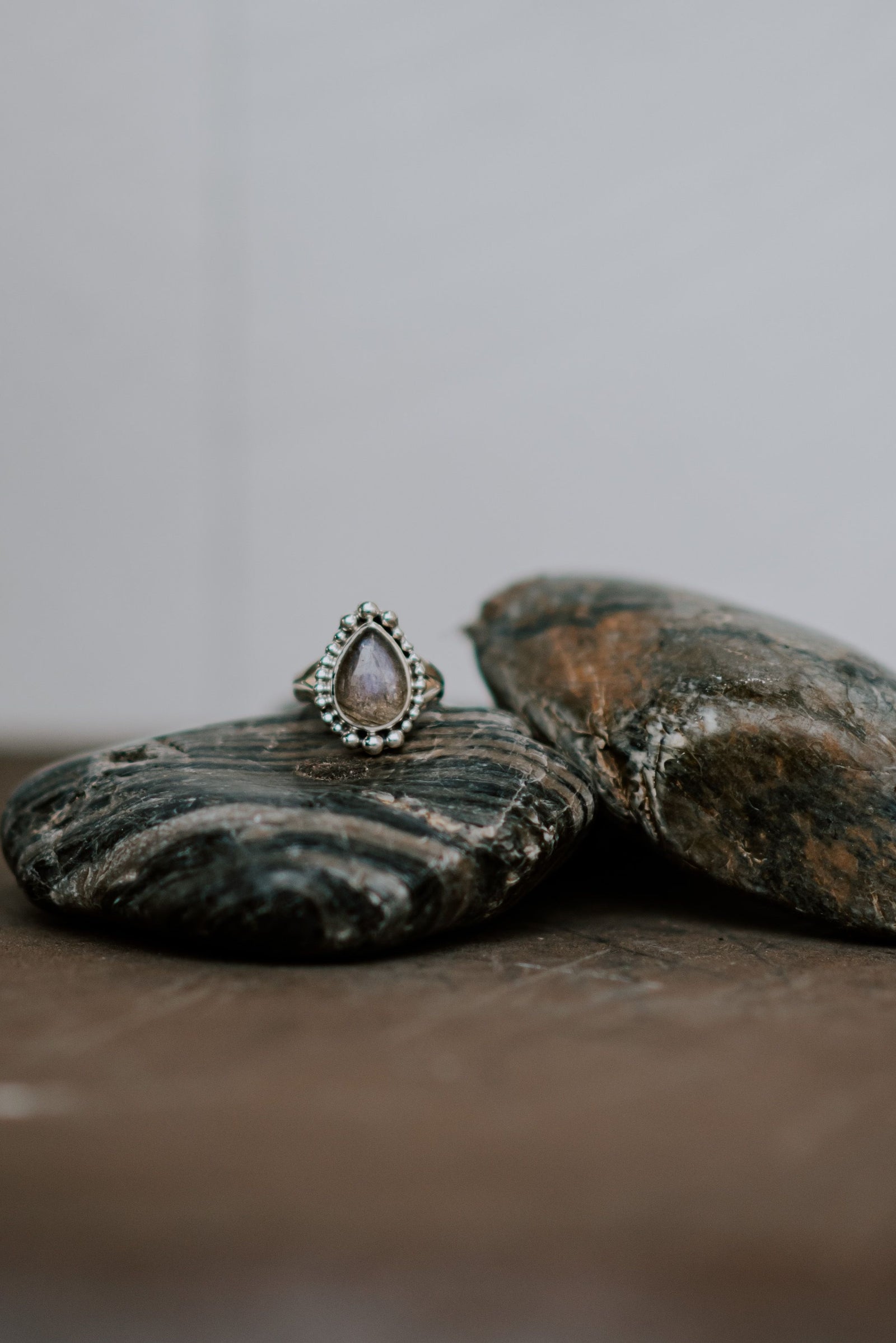 Surya - Zen Warrior Shop