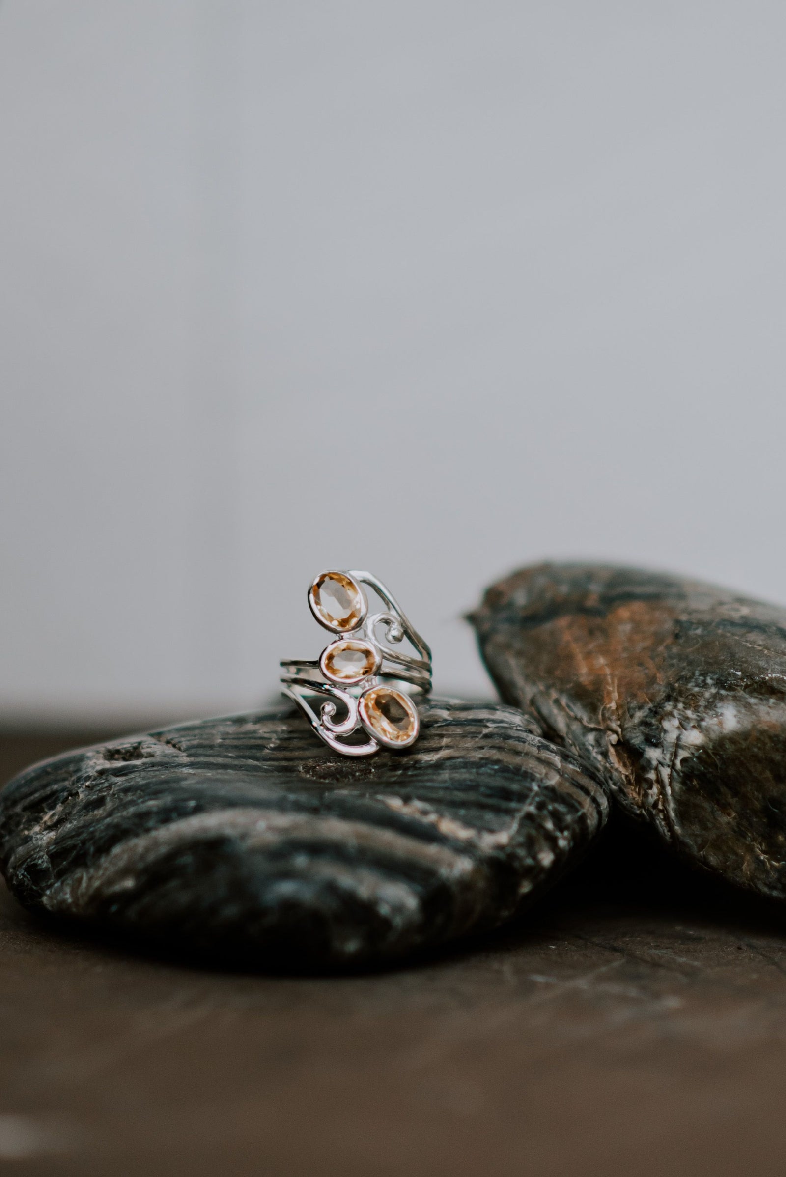 Divine Warrior - Zen Warrior Shop