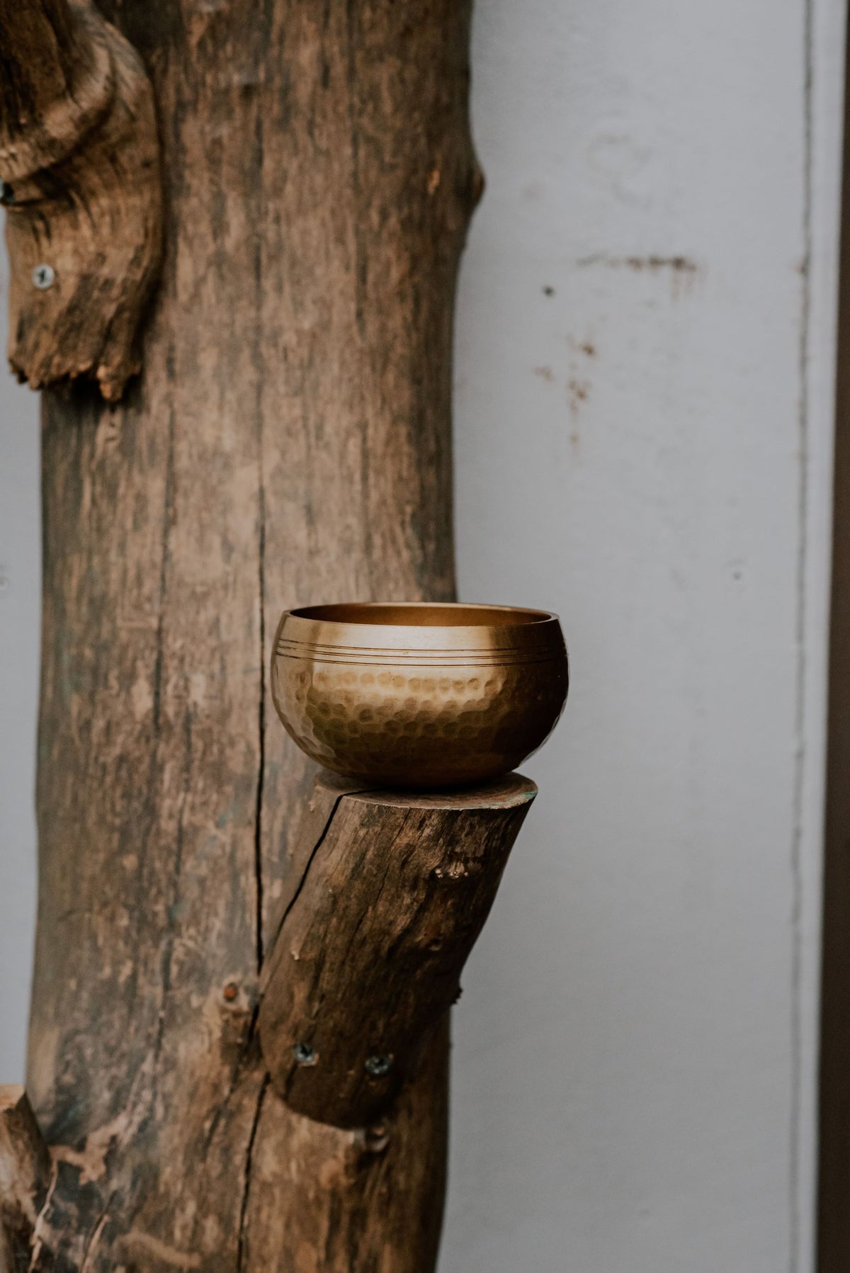 Tibetan Hand-Crafted Singing Bowls - Zen Warrior Shop