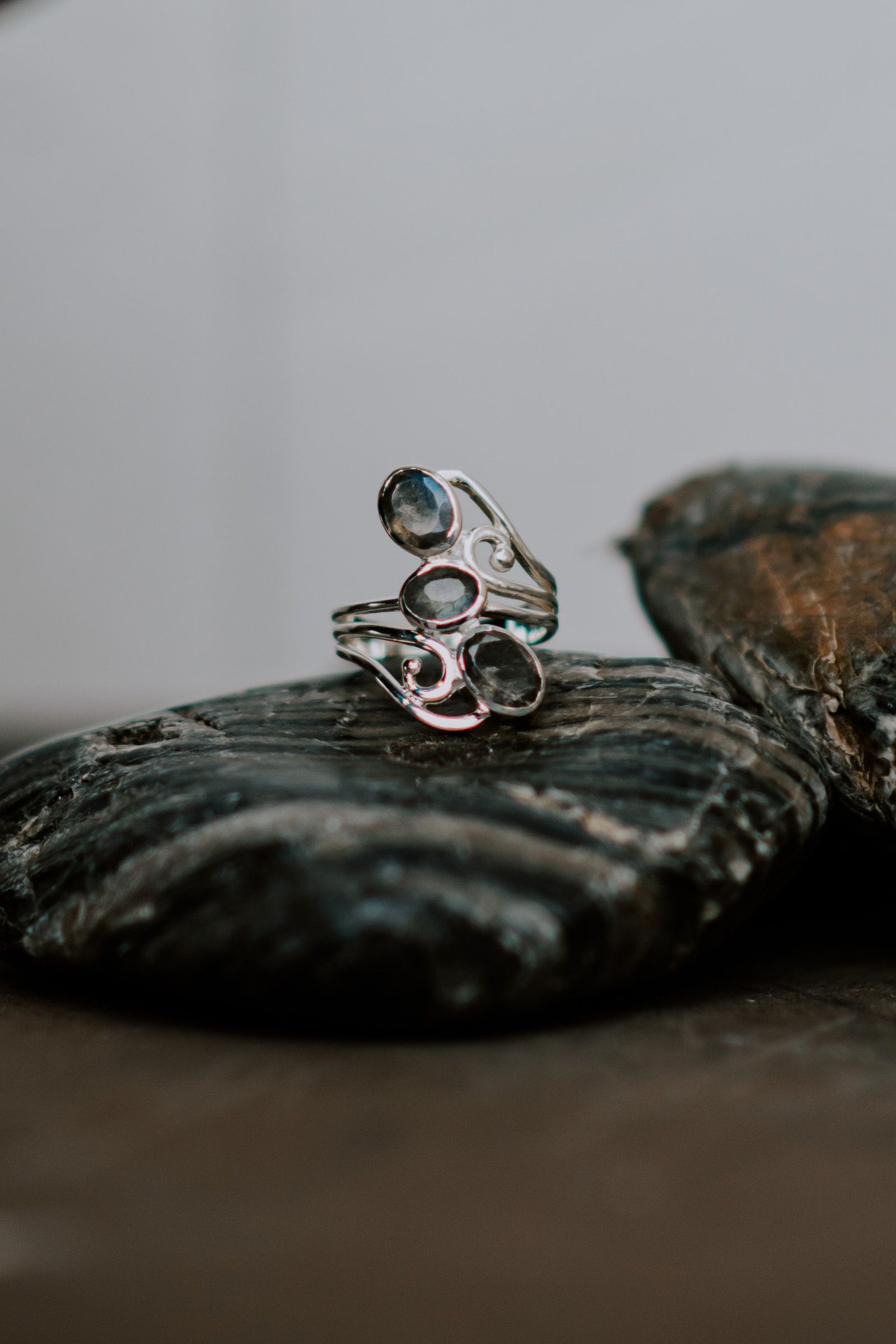 Divine Warrior - Zen Warrior Shop