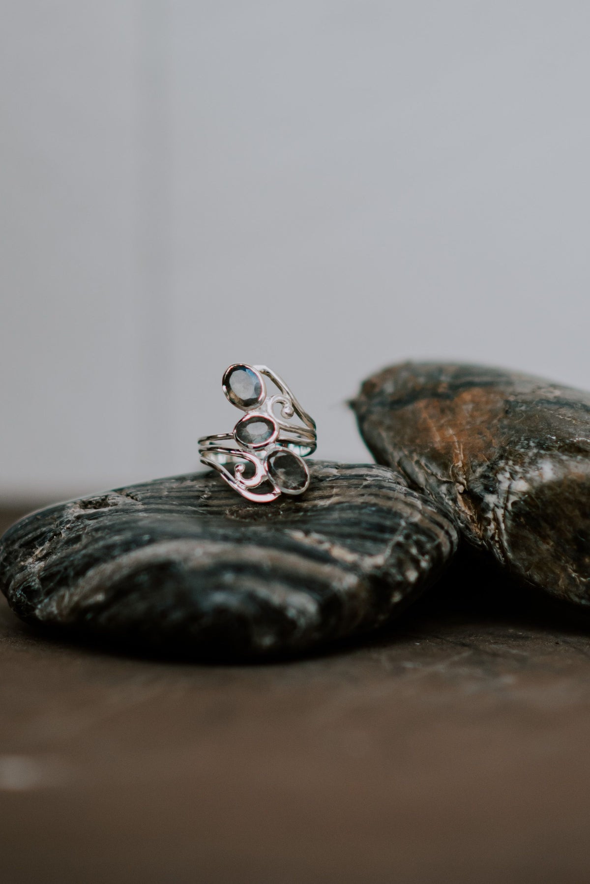 Divine Warrior - Zen Warrior Shop