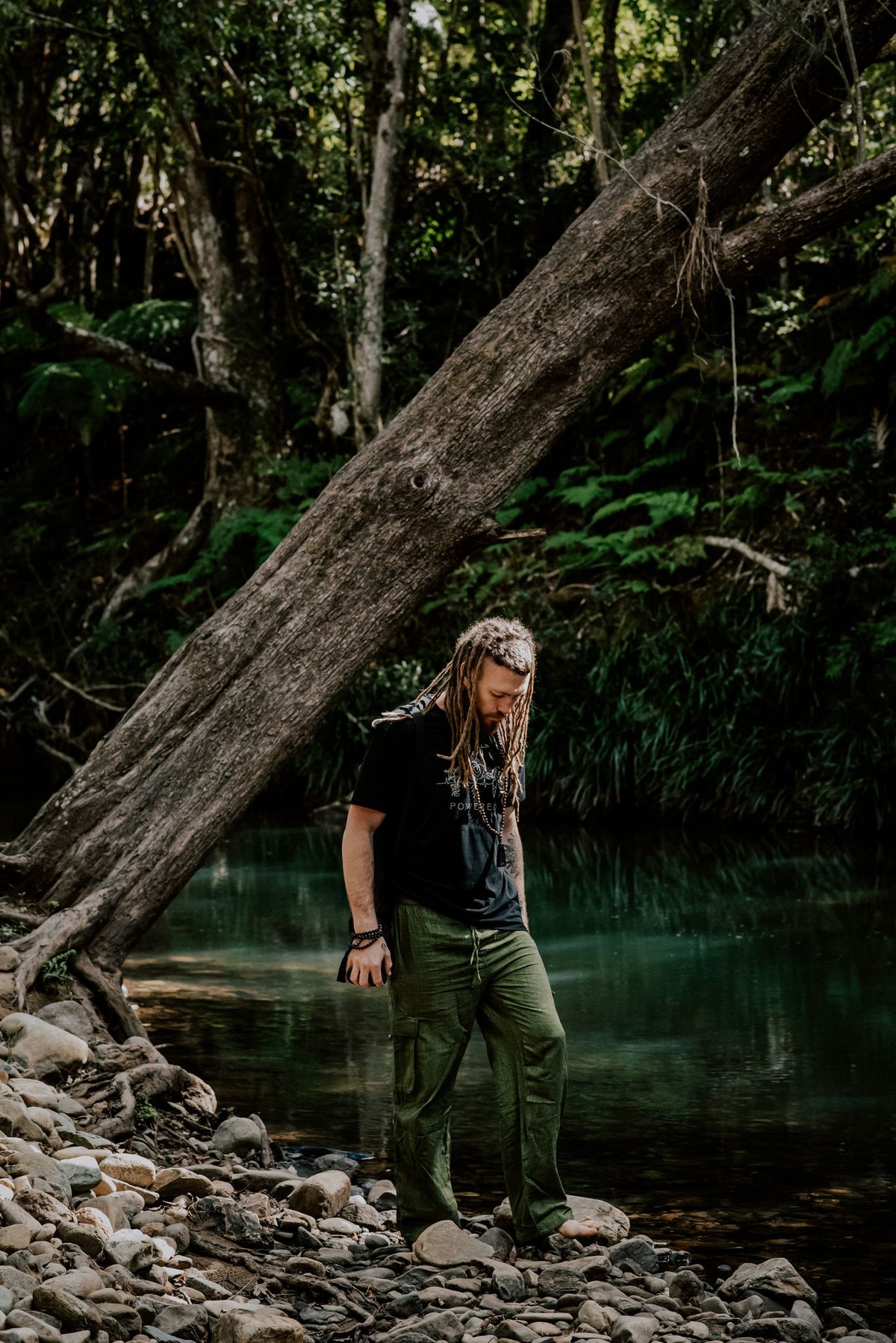 Plant Powered - Zen Warrior Shop