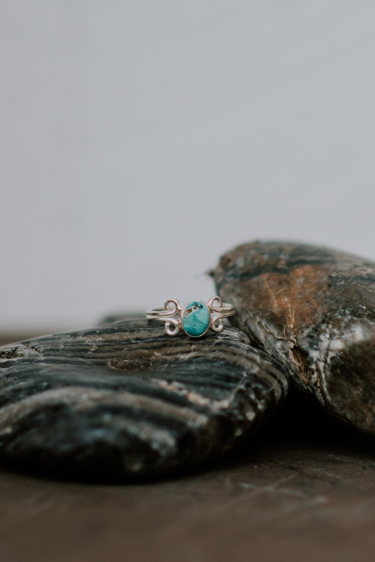 Gaia - Zen Warrior Shop